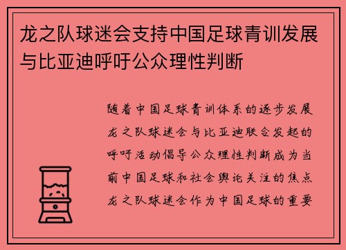 龙之队球迷会支持中国足球青训发展与比亚迪呼吁公众理性判断